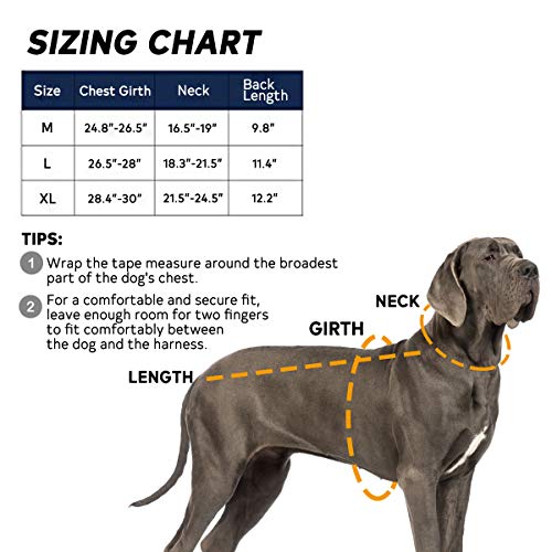 EJG Tactical Dog Harness Vest, with Molle System & Velcro Area, No Pulling Design, Comfy Mesh Padding, for Service Dogs, Military Training Hunting Hiking, for Medium Large Dogs (Medium, Tan) - Thumbnail 6