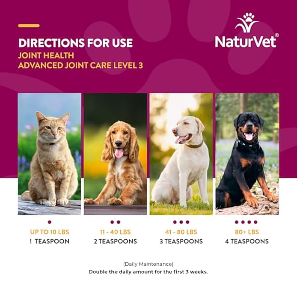NATURVET JOINT HEALTH LEVEL 3 PET SUPPLEMENT FOR CATS & DOGS – HELPS SUPPORT HIP & JOINT FUNCTION – INCLUDES HYALURONIC ACID, GLUCOSAMINE, MSM, CHONDROITIN – 10 OZ. POWDER