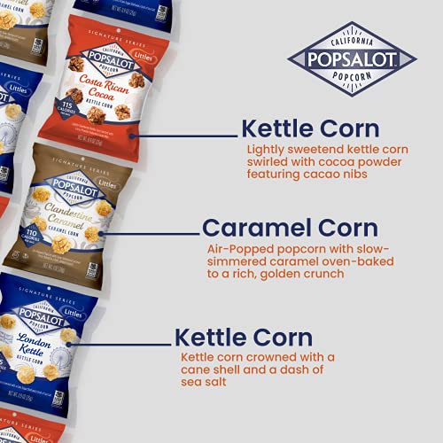 Popsalot Gourmet Popcorn OvenBaked Ready to Eat Flavored