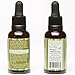 Shea Terra Argan and Green Coffee Around-Eye Serum | All Natural & Organic Eye Serum with Anti-Aging Essential Fatty Acids, Antioxidants and Vitamins for Smoother and Youthful-Looking Eyes – 1 oz