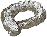 Blue Ribbon Pet Products Exotic Environments Dinosaur Skeleton Aquarium Ornament