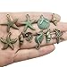55 PCS Marine Life Charms Collection - Starfish Seashells Conch Sea Horse Octopus Mermaid Dolphin Charms Pendants (Bronze HM69)