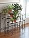 Nesting Branch Plant Stands, Set of 3thumb 2