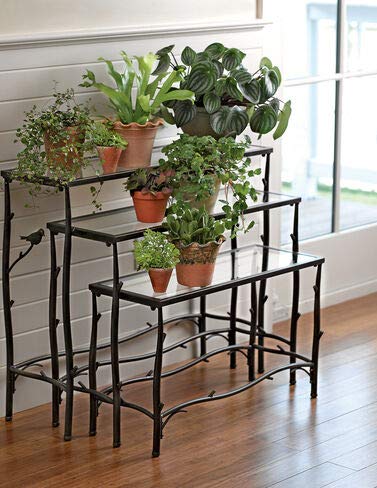 Nesting Branch Plant Stands, Set of 3