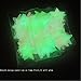 Luminous Wall Stickers Glow in The Dark Wall Decals 100pcs Stars and 9pcs Dinosaurs,for Kids Rooms Home Decor