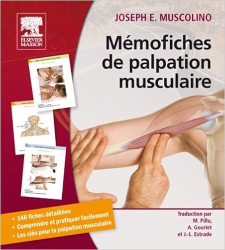 Memofiches Palpation Musculaire Pdf Telecharger Sketimtetibina