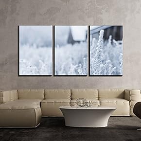 3 Piece Canvas Wall Art - White Frost on Grasses in The Winter Morning - Modern Home Art Stretched and Framed Ready to Hang - 16"x24"x3 Panels