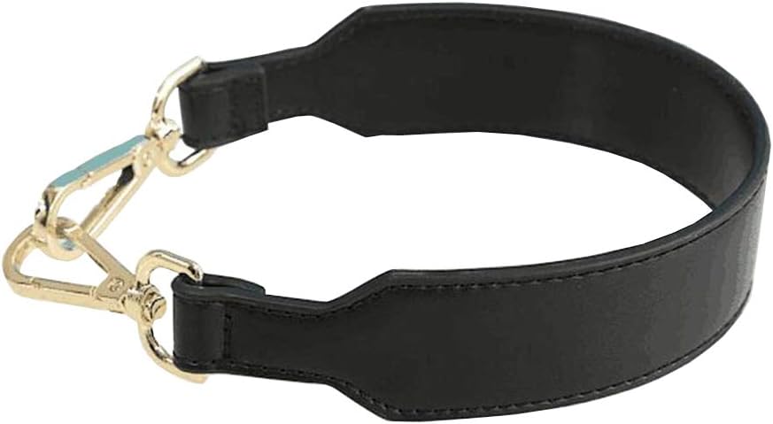 Reason CharmShort Unadjustable Replacement Strap Handbags Strap Shoulder Strap PU Leather Strap for Handbags Purse Bag Strap (Black)