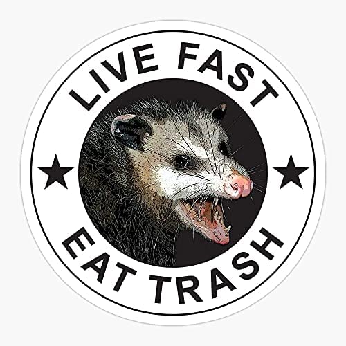 Photo 1 of decal Pack of 2 3 Inch Stickers -Eat Fast Live Trash Opossum Possums Awesome Possum - Sticker Graphic - Auto, Wall, Laptop, Cell, Truck Sticker for Windows, Cars, Trucks