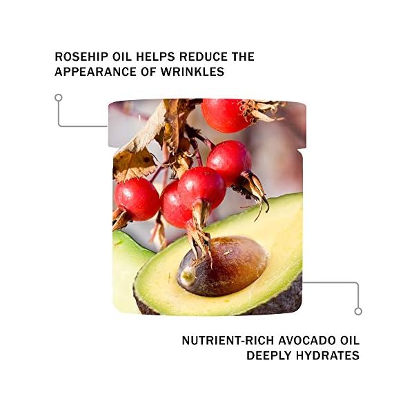 Vanilla-Pod-Hydrating-Day-Cream--Anti-Aging-Face-Moisturiser-For-Dry-Skin--with-Rosehip-Oil-Avocado-Oil-Antioxidant-Skincare-Ingredients--Dry-Skin-Normal-Skin--60ml Antipodes Vanilla Pod Hydrating Day Cream 60ml