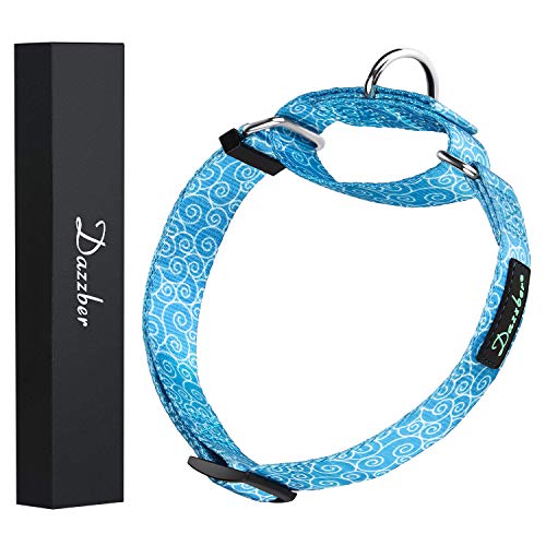 Dazzber Martingale Dog Collar, Sky Blue, Small, Neck 12"-17", Width 0.6",Safety Training Heavy Duty Adjustable Collars for Dogs