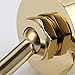 KES BRASS Handheld Shower Holder Wall Mount Shower Wand Hose Bracket Gold, C213-4