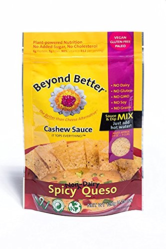 Beyond Better, Queso Mix Spicy, 3.95 Ounce