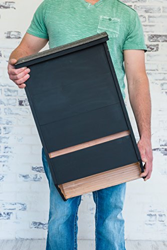 Big Bat Box BCI- Certified, Triple-Chamber, Nursery Bat House; Made in the USA