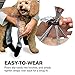 Walkee Paws New Deluxe Easy-On Dog Boot Leggings, Seen on Shark Tank, Protects from Summer Heat, Wet Surfaces, Allergens (Camo, Small/Medium)