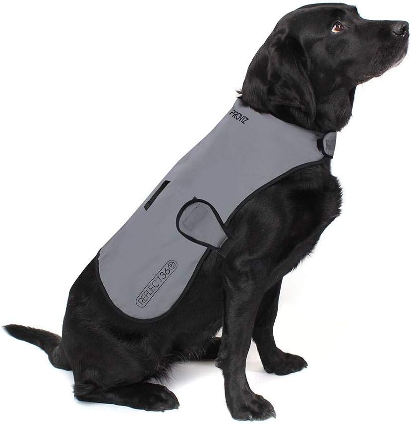 Proviz REFLECT360 Reflective Waterproof Fleece-Lined Dog Jacket Hi Visibility Insulated Windproof Coat, L