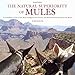 The Natural Superiority of Mules: A Celebration of One of the Most Intelligent, Sure-Footed, and Mis by John Hauer, Sue Cole