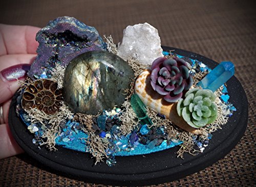 Mini Hand Made Succulant Water Sign Crystal Garden Display w/ Aura Agate, Labradorite, Ammonite, Quartz, Apatite