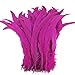 Sowder Fushia Rooster Coque Tail Feathers 13-16inch Lengh Pack of 50