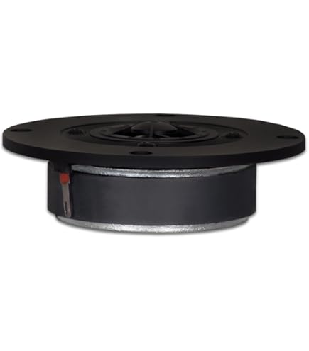 Amazon.com: Goldwood Sound 120 Watts 8ohm Titanium Dome Speaker