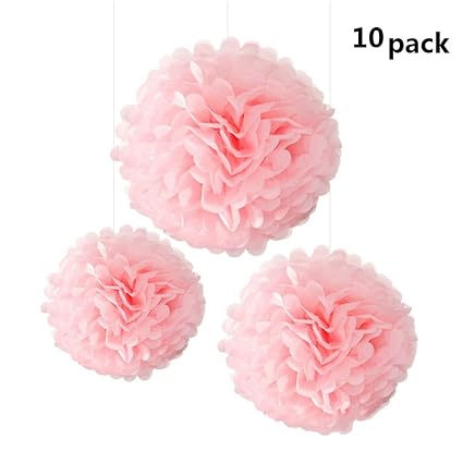 Aofocy Rose Lot De 10 Papier De Soie Pompons Boules De