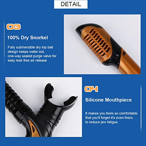 Aritan Snorkeling Snorkel Package Set, Anti-Leak Anti-Fog Coated Glass Diving Panoramic View Clear Tempered Glass Mask, Dry Top Soft Mouthpiece Snorkel Tube, Snorkeling Gear Bag (Golden, Two-Piece)
