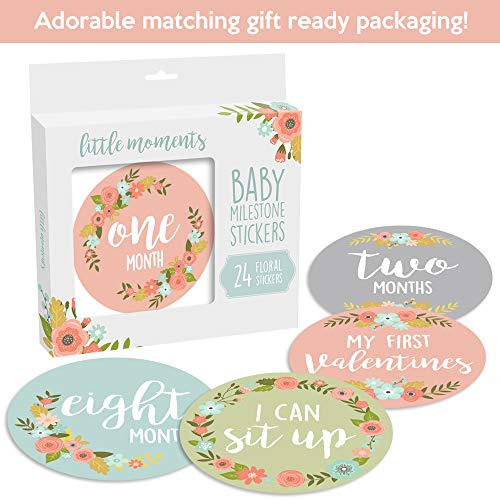 2 Monthly+Stickers+Floral+Milestone+Newborn