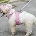 Small Pet Dog ppy Cat Kitten Princess Mesh Strap Hat Cap Sunbonnet-Pink