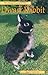 DWARF RABBIT (Pet Owner's Guide) by Hazel Leewood