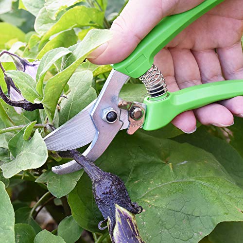 IRRIGLAD 130 Professional Pruning Shears, Gardening Scissors, Hand Pruners, Garden Clippers, Stainless Steel Blades, 7" Heavy Duty Tree Trimmers, Safety Lock