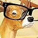Best-mall Creative Wood Hand Carved Eyeglass Holder-Hold Most Style of eyewears-Great Gift for Anyone (Deer)