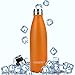 AOMERLY Insulated Water Bottle, Double Wall Vacuum Stainless Steel Water Bottle, S'well Cola Shape, No sweating, BPA Free, Keeps Cold & Hot, 17oz