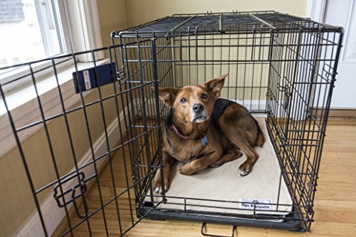 image for Pet Parents Washable Dog Pee Pads (2pack) of 34x36