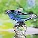H&D HYALINE & DORA Blue Crystal Dolphin Figurine Collectible with Ball Paperweight Table Knicknack Fengshui Ornament 2.1 * 2.7IN