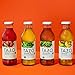 Tazo Organic Iced Tea, Green Tea, 13.8 Ounce Glass Bottles, 8 Pack