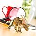 Safari Ltd. Styracosaurus Figurine - Detailed 8