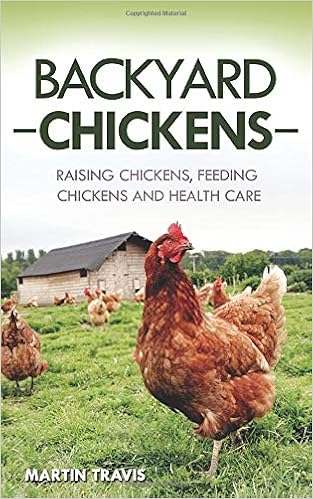 Buy Backyard Chickens Raising Chickens Feeding Chickens And