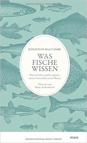 Was Fische Wissen Wie Sie Lieben Spielen Planen Unsere Verwandten Unter Wasser Amazon De Jonathan Balcombe Tobias Rothenbucher Bucher