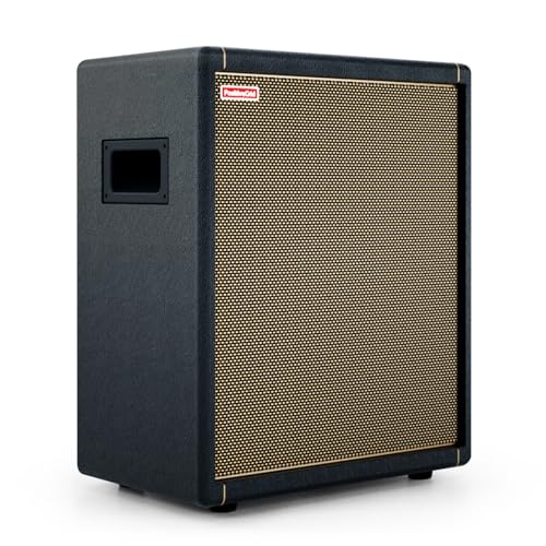 Positive Grid Spark CAB Powered FRFR Speaker Cabinet for Amps & Modelers