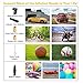 AUTLEAD C22 Tire Inflator Quick Release Chuck, Fast Inflating for Car, Bicycle, Ball, Balloon