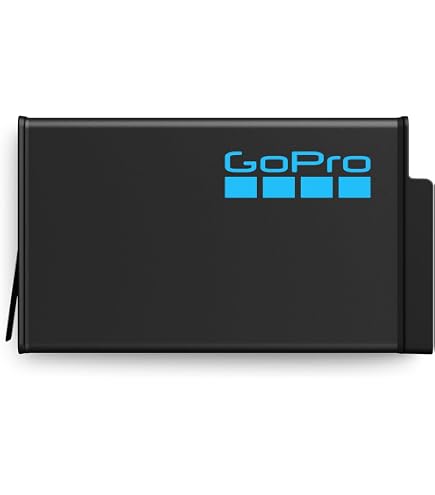 Amazon.com : GoPro Enduro Rechargeable Battery 2-Pack (HERO13