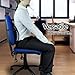 Zone Tech Set of 4 PosturePro Mesh Office Chair & Car Seat Lumbar Back Support