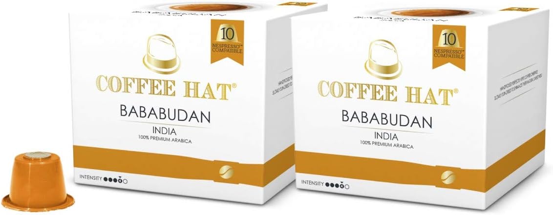 Nespresso Compatible Coffee Capsules - Premium Quality Coffee Pods - Nespresso Original Machine - Roasted (Bababudan, 20 Capsules)