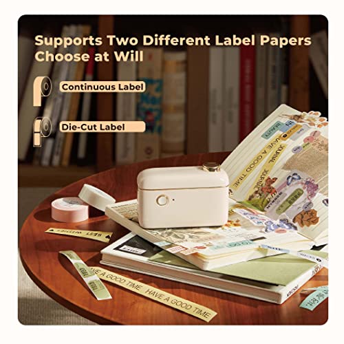 NIIMBOT H1S Label Maker Machine with Tape, 0.47