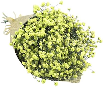 CMrtew Natural Dried Flower, Natural Dried Flower Baby's Breath Gypsophila Home Office Bouquet Decor (Yellow)