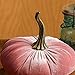 Blush 6.25 inch Velvet Pumpkin, Modern Rustic Mantle Decor, Entryway Decor, Farmhouse Cozy Home Decor, Table Centerpiece (Blush)