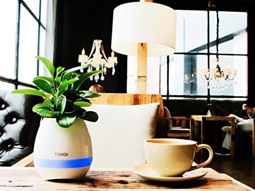 UIDA Smart Music Flower Pot Bluetooth Wireless Rechargeable Speaker Rainbow LED Night Light Bedside Lamp Musical Box Pot Special Gift for Children &amp; Adults (White)
