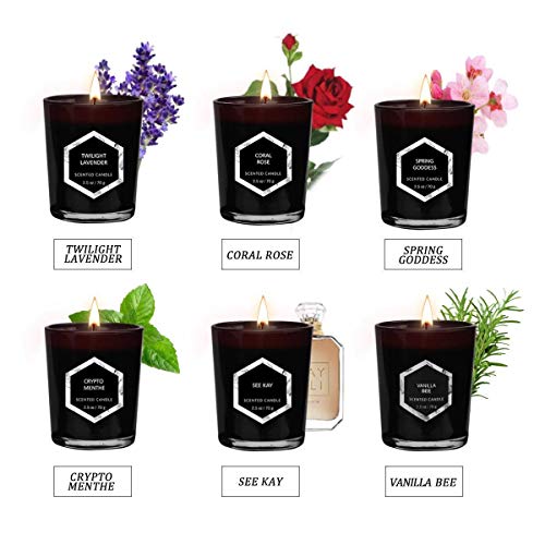 Scented Candles Gift Set of 6, Natural Organic Soy Wax Candles for Aromatherapy Stress Relief Relaxation, Gifts for Women