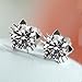 18k White Gold Plated Swarovski Crystal Zircon Mini Cute Lovely Cat Earrings Stud E160