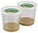 Insect Lore Deluxe Butterfly Garden with 2 Live Cups of Caterpillars & Feeding Kit